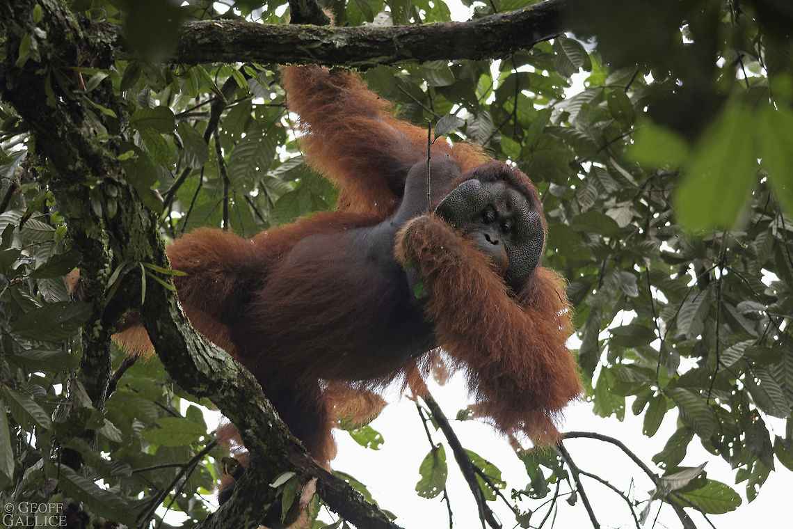 8 Best Attractions in Malaysian Borneo