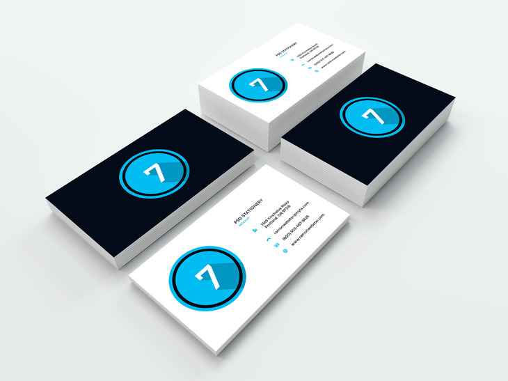 Portfolio Item 11