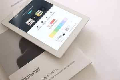 Portfolio Item 02