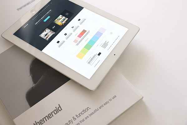Portfolio Item 02