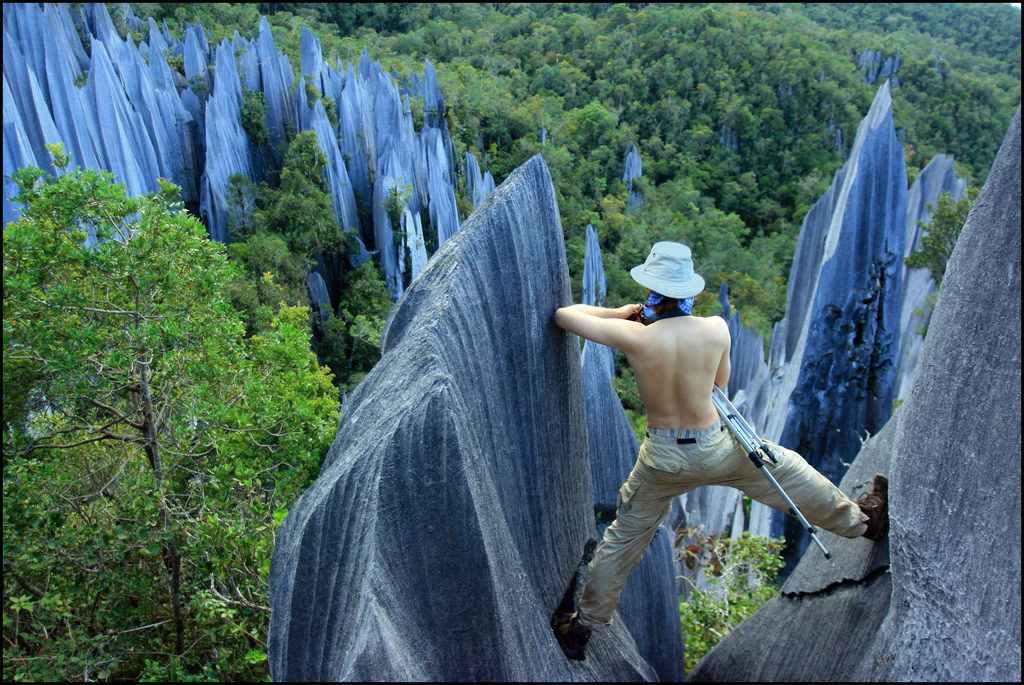 Best National Parks In Malaysia