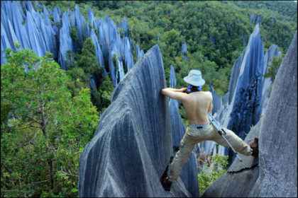 Best National Parks In Malaysia