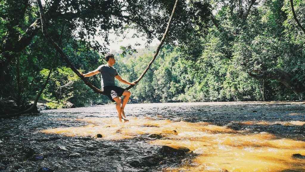 What To Do in Taman Negara National Park The Best of Malaysia