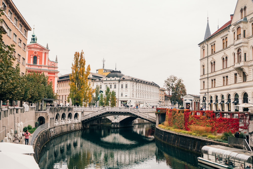 Unique Local Market in Ljubljana