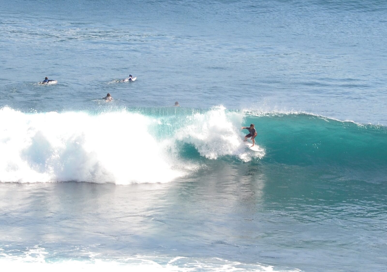 A surfer riding a clean wave in Bali during the dry season