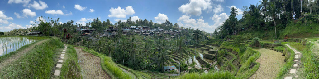 Tegallalang rice terraces in Bali, Indonesia