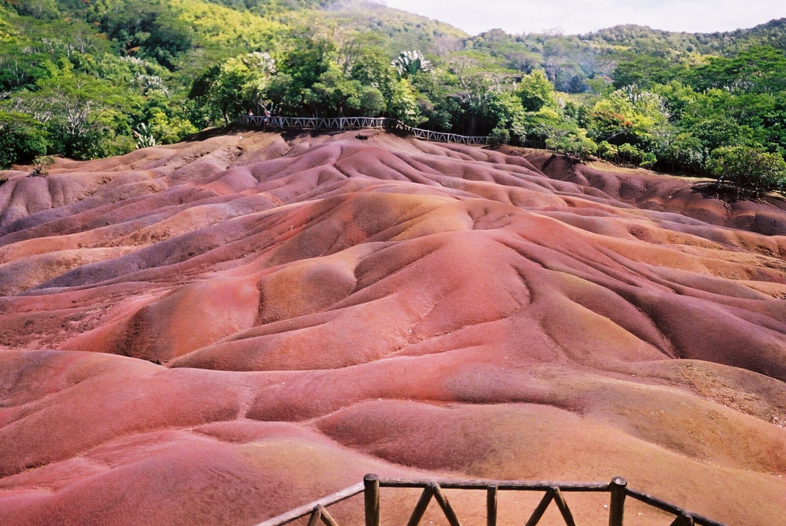 The rippled red and ochre dunes of the Seven Coloured Earths at Chamarel, Mauritius