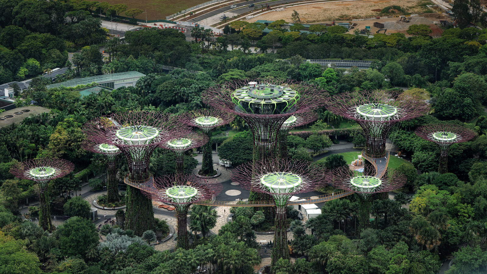 Aerial view of the Supertree Grove at Gardens by the Bay in Singapore