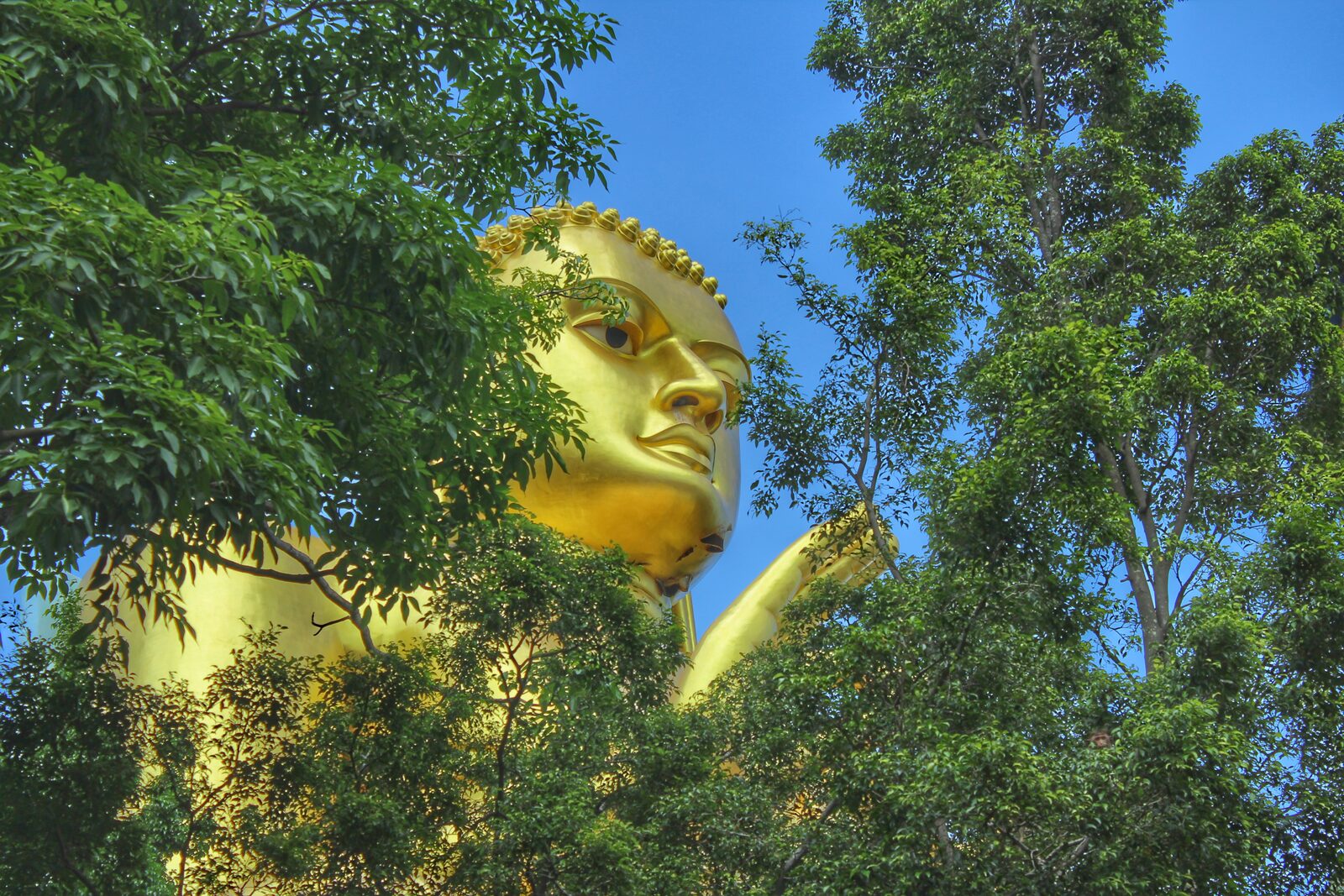 Giant Golden Buddha statue at Dambulla in Sri Lanka's Cultural Triangle