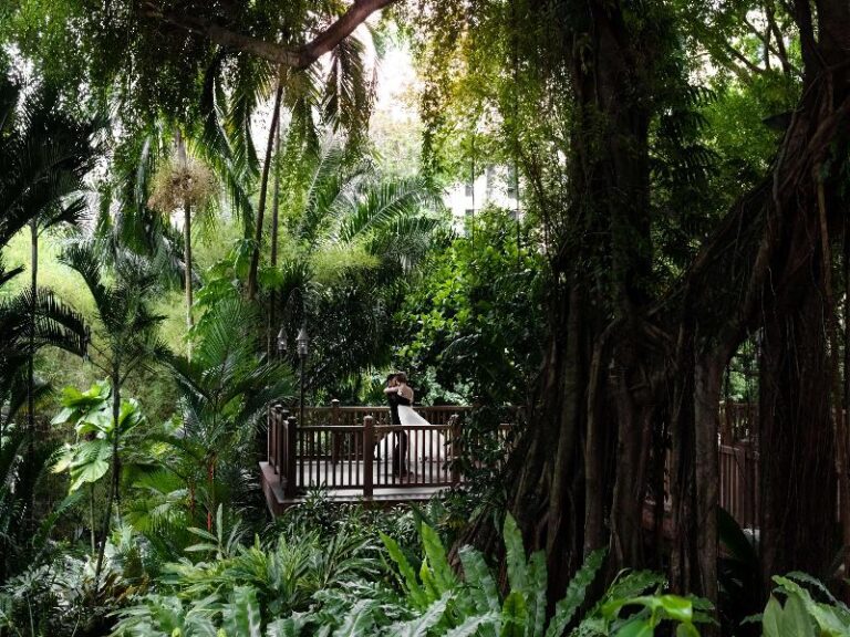 Mature rain trees and garden path at Shangri-La Singapore off Orange Grove Road