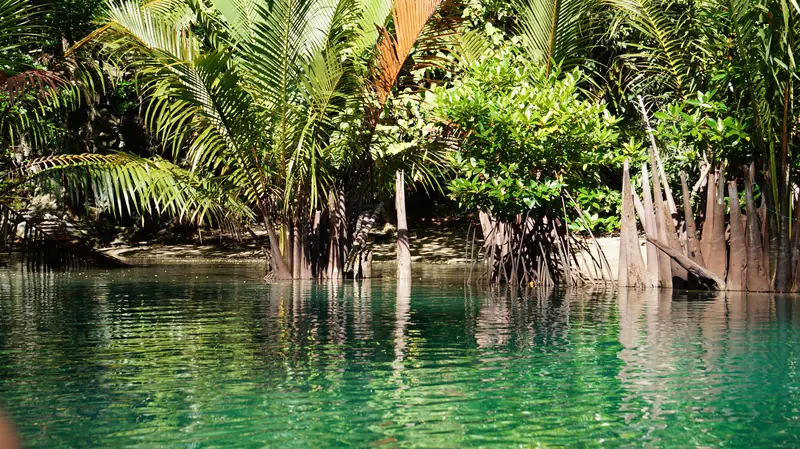 Top Attractions